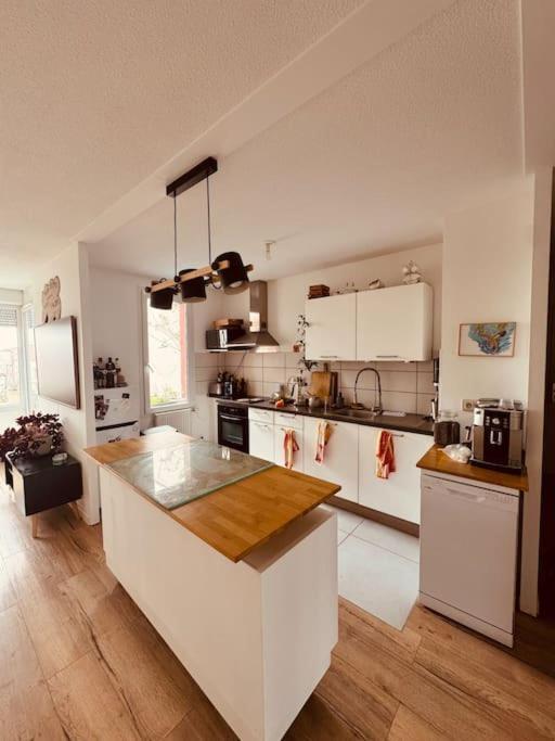 Bel Appartement Proche Mulhouse Pfastatt Exterior photo
